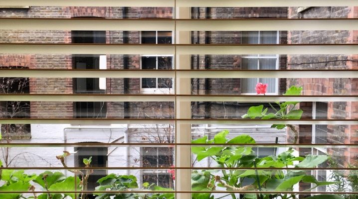 Blinds For Bay Windows