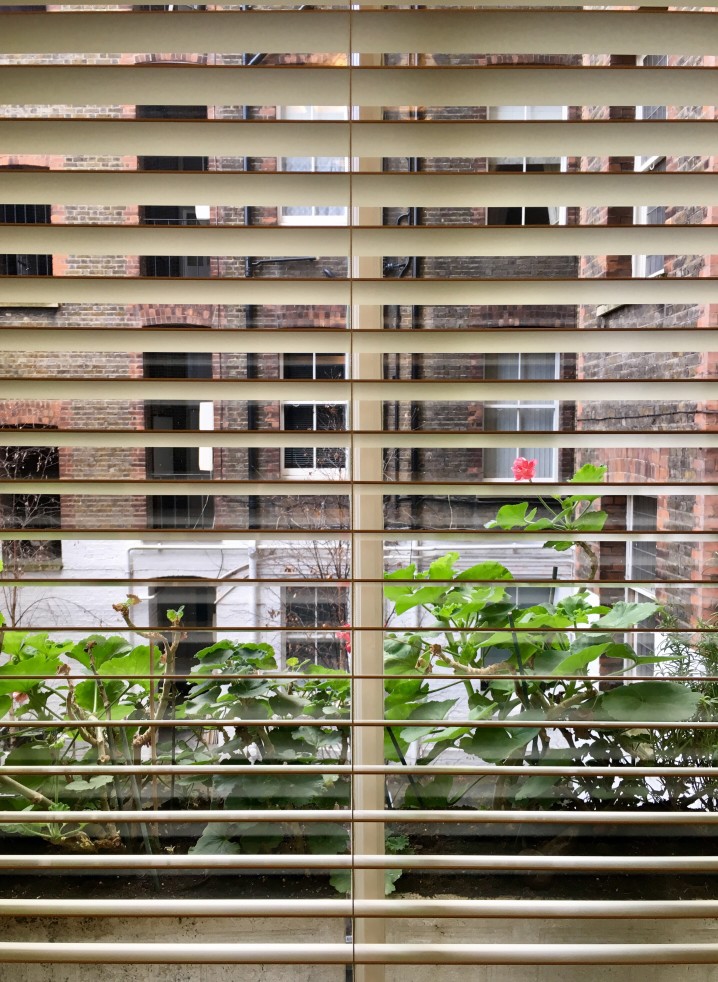 Blinds For Bay Windows
