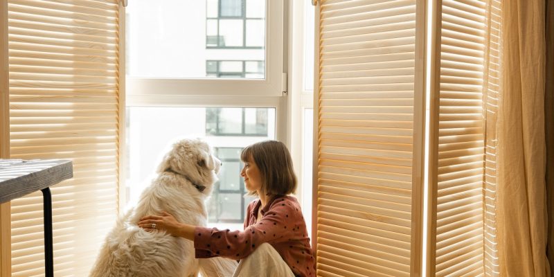 Do window blinds really help to keep a room cooler in summer?