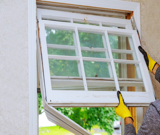Replace room windows