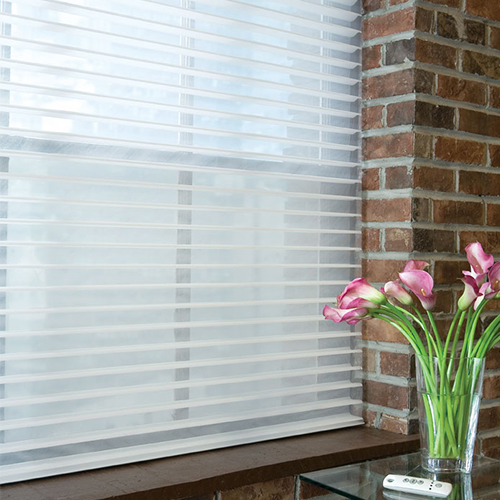 Sheer Horizontal Room Darkening Shades Elite 