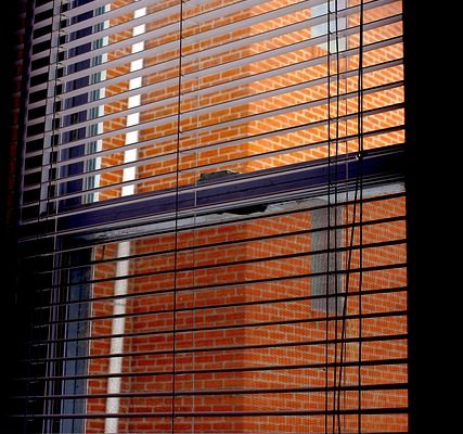 Summertime Window Treatment Care: How To Protect Your Investment