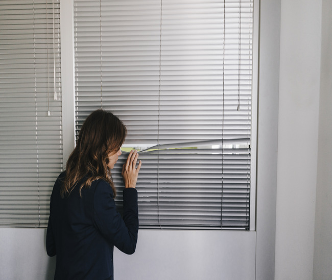 Want you want your blinds to do