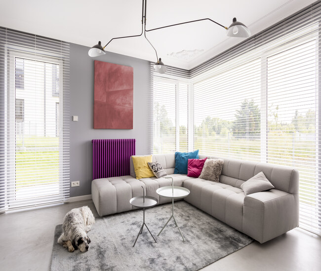 Window Blinds