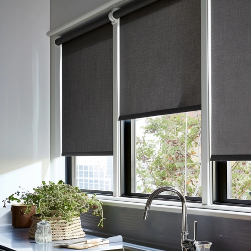 Blackout Roller Shades Elite  