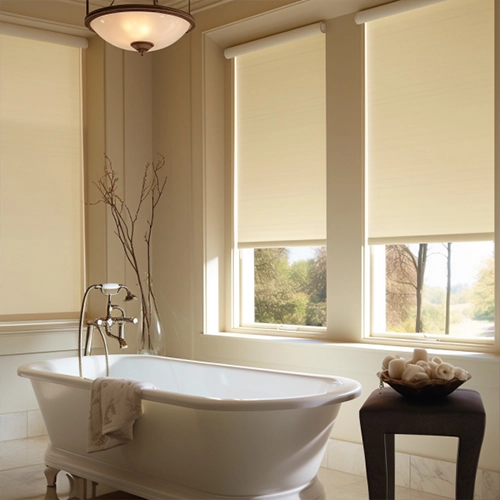 Blackout Roller Shades Exclusive  