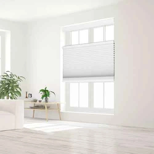 Nightfall Top Down Bottom Up Blackout Cellular Shades Living Room 2