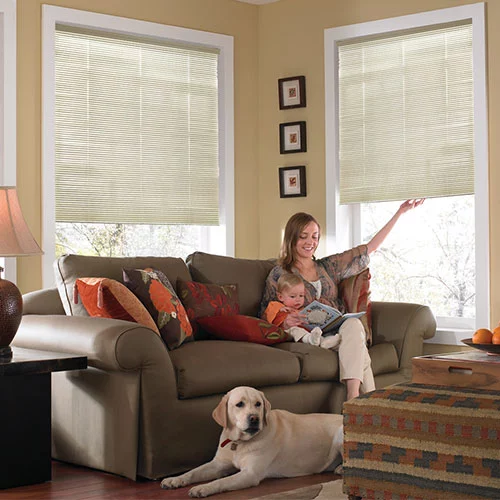 Cordless Mini Blinds Elite - Cheap Mini Blinds