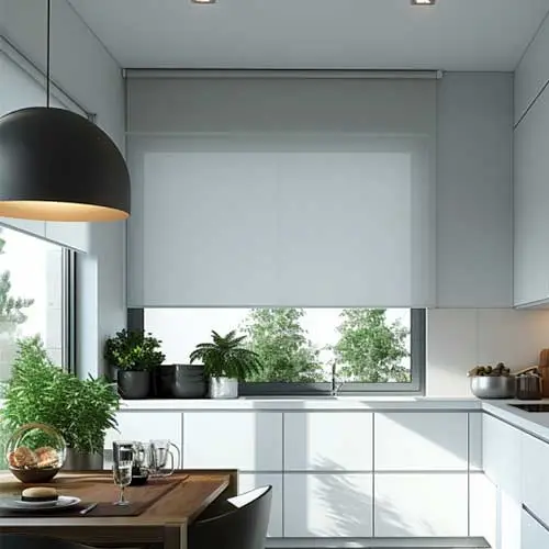 Light Filtering Roller Shades Exclusive
