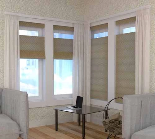 Plain Classic Top Down Bottom Up Roman Shade - Exquisite 