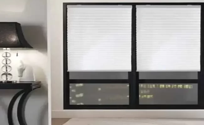 Pleated shades