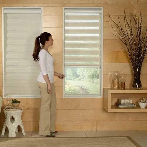Elegance Zebra Light Filtering Roller Shades 
